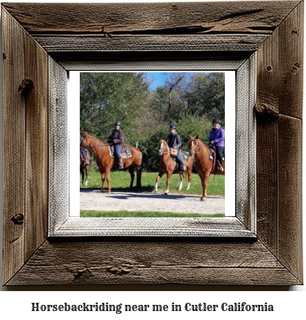 horseback riding near me in Cutler, California